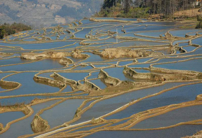 Yuanyang Rice Terraces