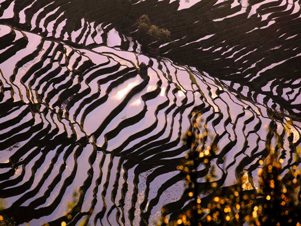 Yuanyang Rice Terraces