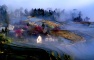 Yuanyang Terraced Fields