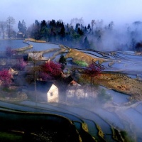 Yuanyang Rice Terraces