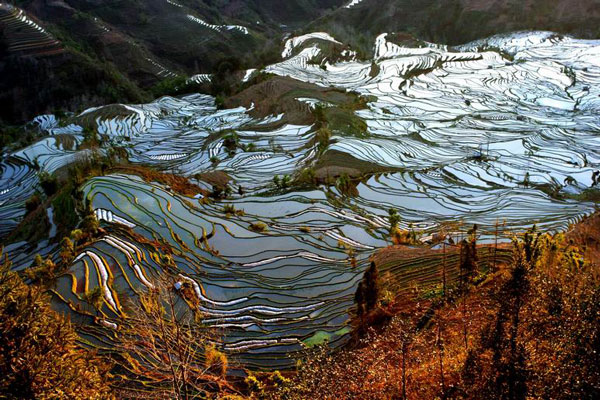 Yuanyang Rice Terraces