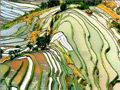 Yunnan Yuanyang Terraced Fields