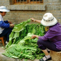 Yunnan Yi, Dali Yunnan Tours