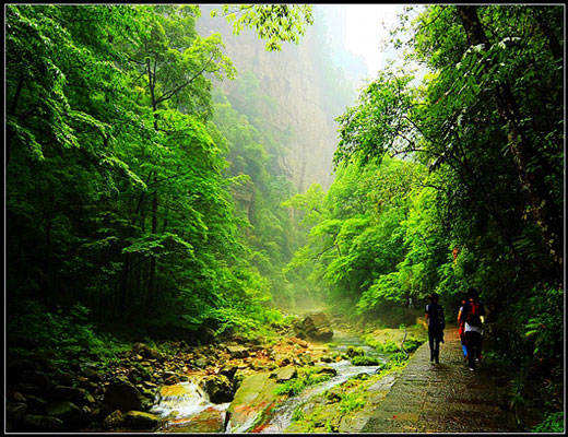 Golden Whip Stream in Zhangjiajie