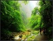 Golden Whip Stream in Zhangjiajie