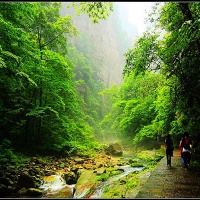 Golden Whip Stream in Zhangjiajie