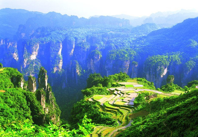 Tianzishan Mountain Nature Reserve