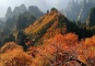 Wulingyuan National Forest Park